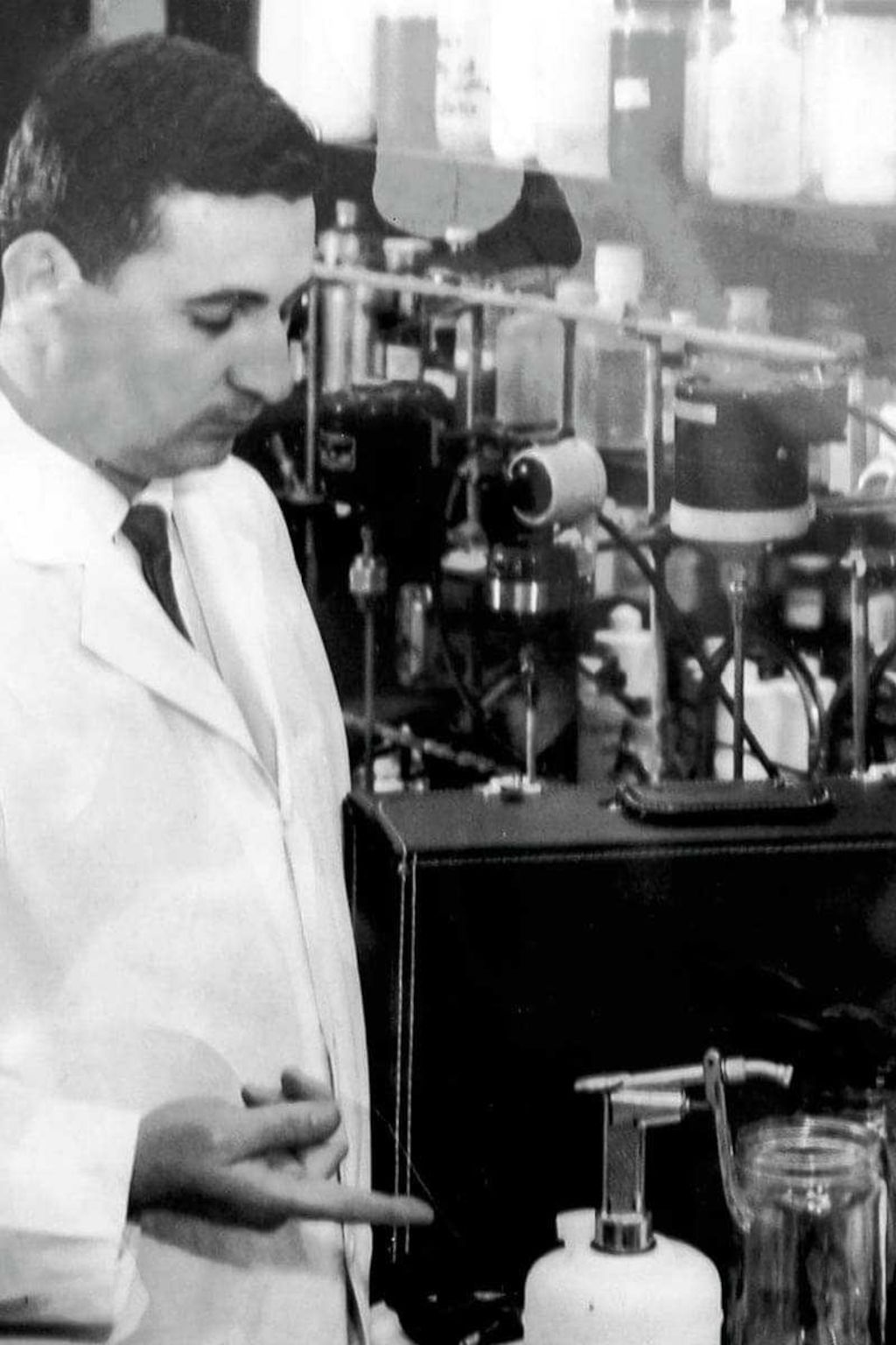 Metadesign Earth Friendly Products Ecos Founder