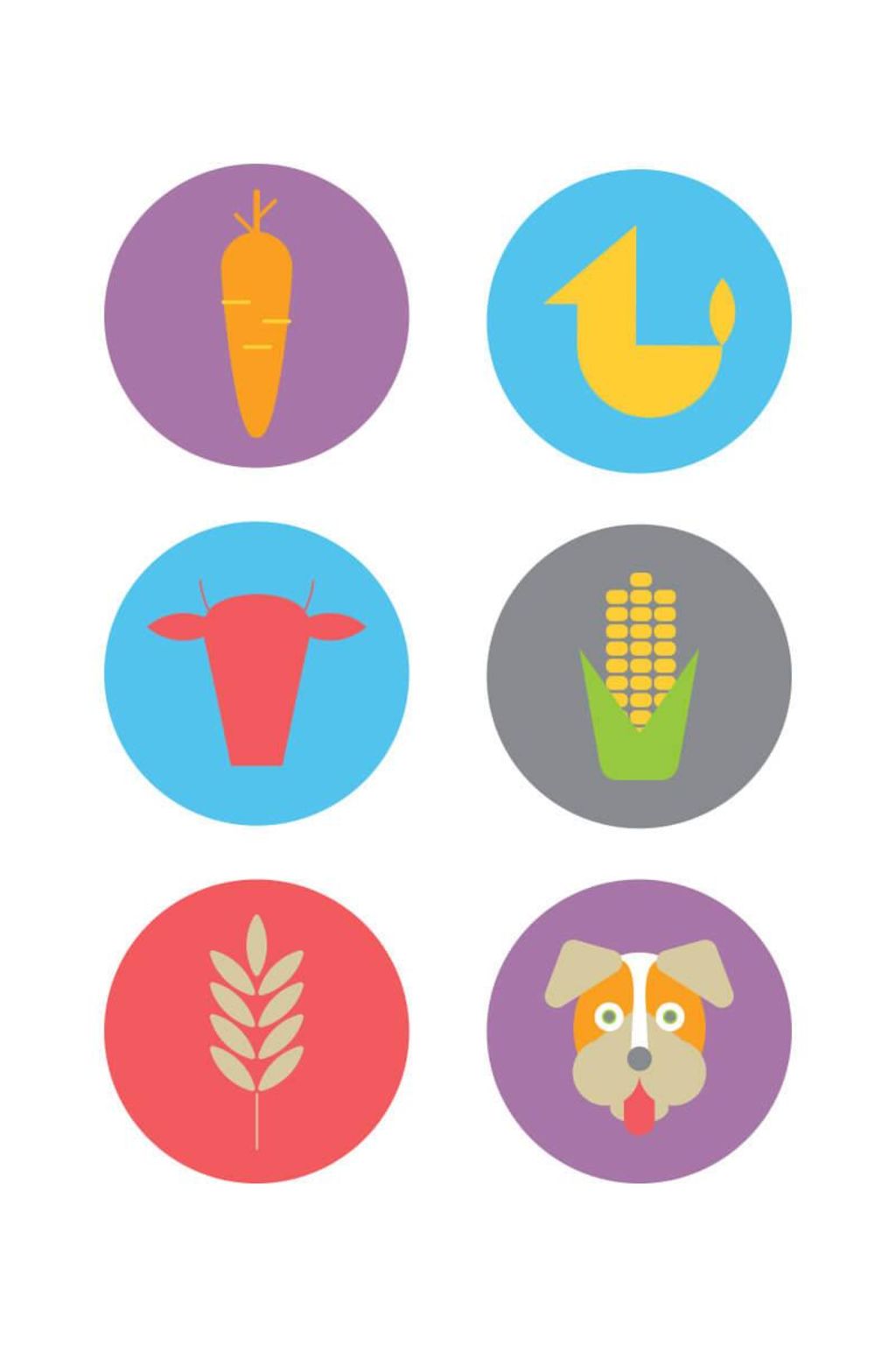 Metadesign Embark Brand Graphics 2