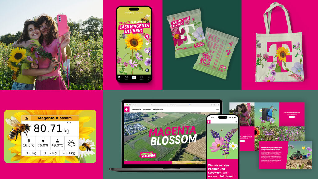 Magenta blossom übersicht