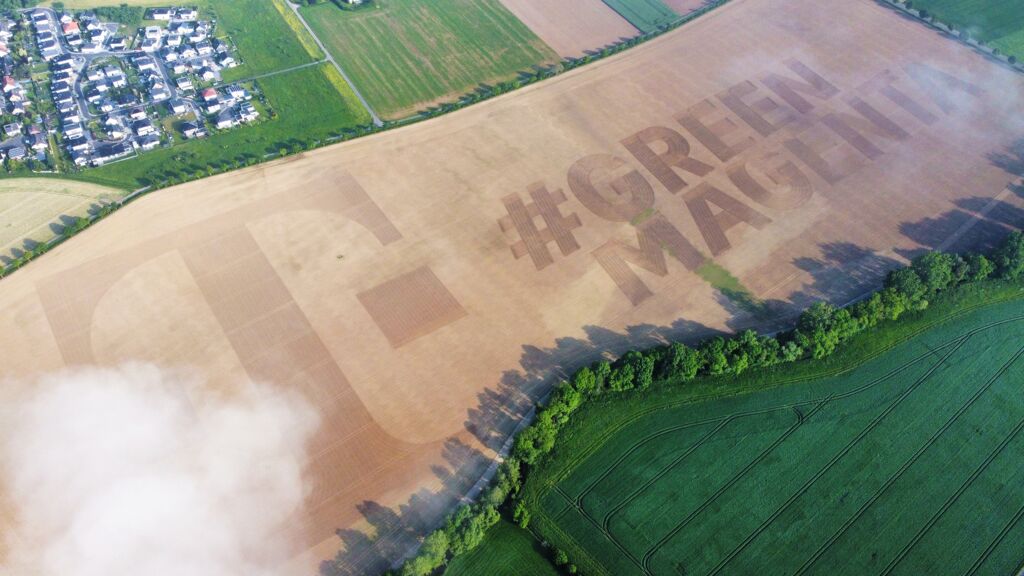 Magenta Blossom Seeding2