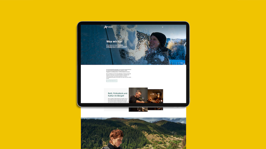 Schweizer Berghilfe Metadesign 11